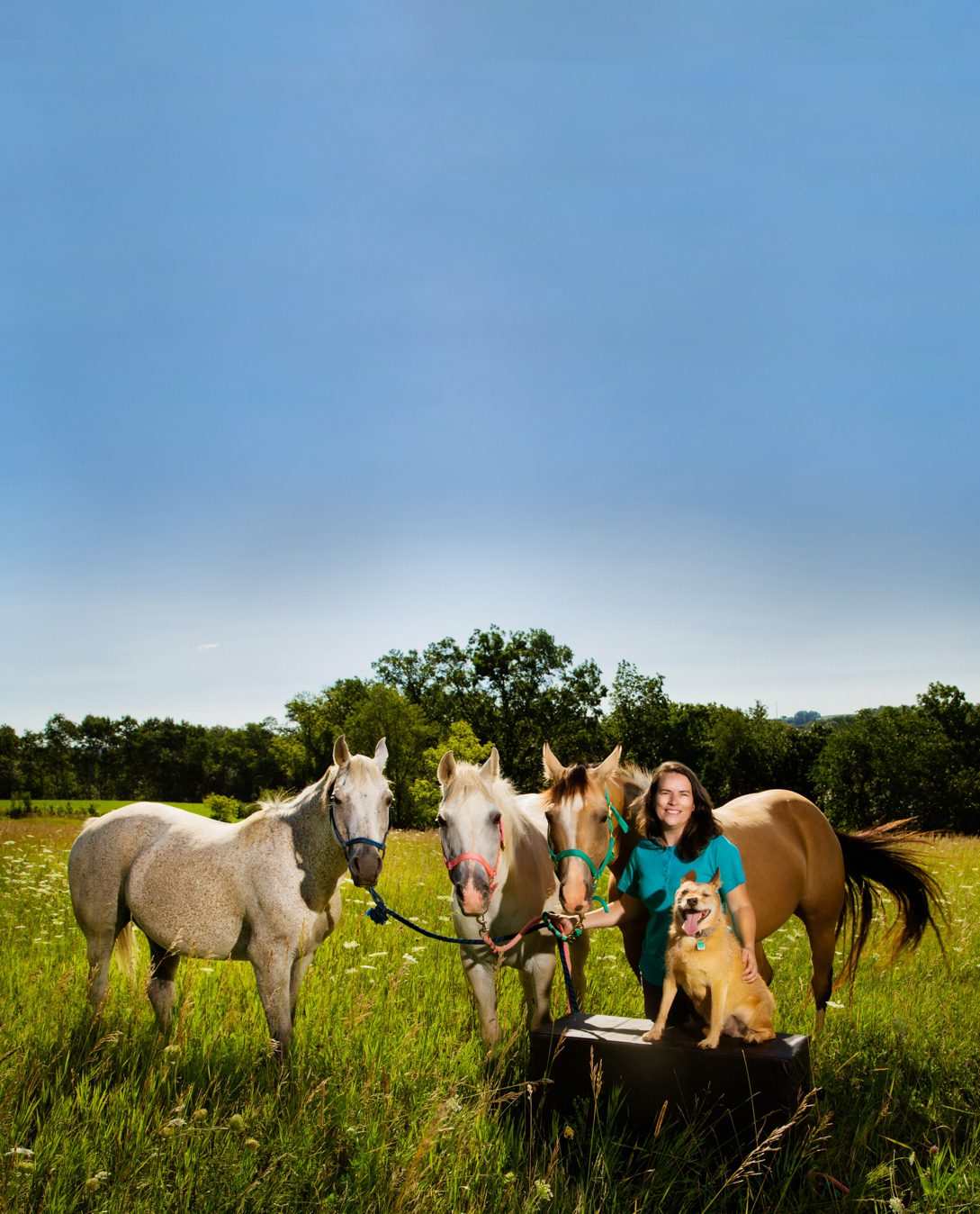 Dr. Jennifer Lorenz with her dog and 3 horses in the field